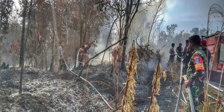 FOTO : BPBD GUMAS/MATA KALTENG - Petugas BPBD bersama TNI dan Polri berjibaku memadamkan api yang membakar lahan, di Kecamatan Rungan, belum lama ini.