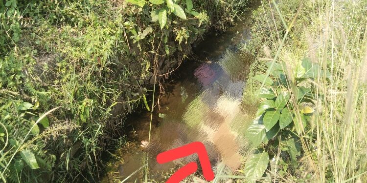 FOTO: AGUS/MATA KALTENG- Seorang mayat pria ditemukan tewas di dalam Parit Jalan Christopher Mihing, Baamang, Kotim. Selasa, 17 Oktober 2023.
