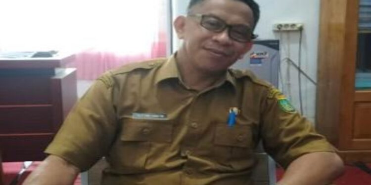 FOTO: MATAKALTENG - Plt Kepala Disnakertrans Kabupaten Barsel, Sufian Arifin.