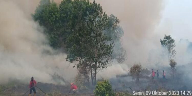 FOTO:DOK/MATA KALTENG - Kebakaran hutan dan lahan yang terjadi Desa Ujung Pandaran, Sampit belum lama ini.