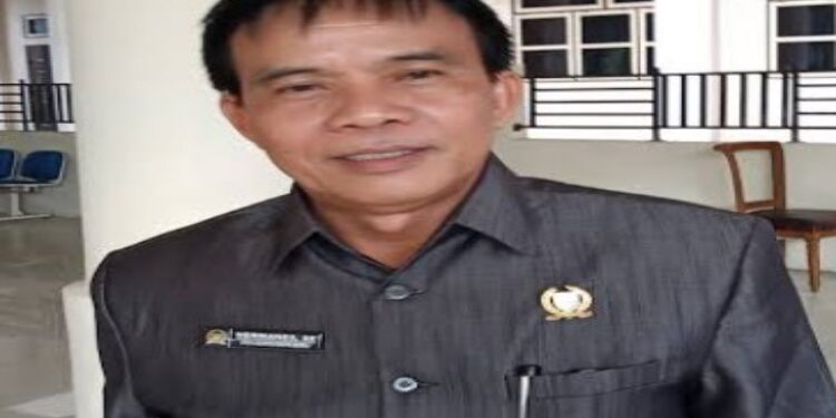 FOTO: MATAKALTENG - Ketua komisi III DPRD Kabupaten Barsel, Hermanes.