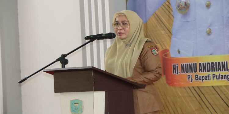 Pj Bupati Pulpis, Nunu Andriani.