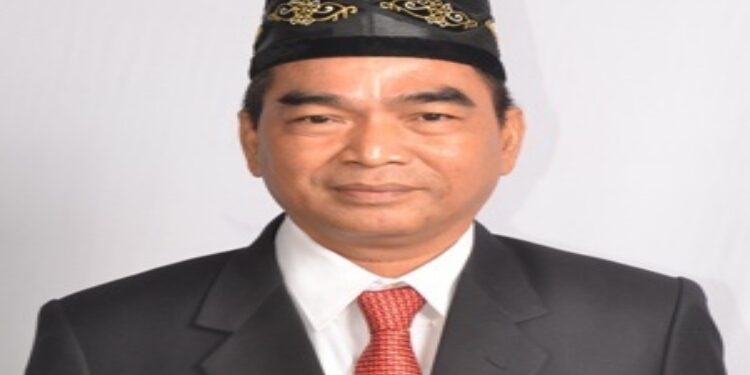 FOTO: Anggota Komisi I DPRD Kabupaten Barsel, Tamarzam.
