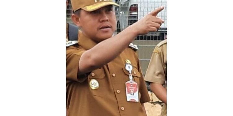 FOTO : MATAKALTENG - Pj Bupati Barsel, Deddy Winarwan.