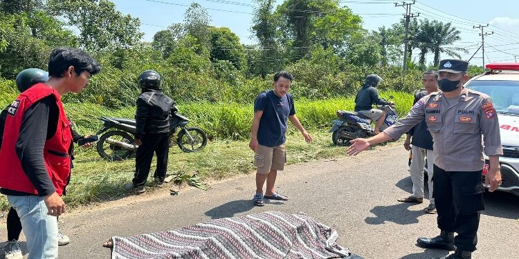 FOTO: IST/MATA KALTENG - Terlihat pengendara motor FIZ R yang di tutupi kain, usai terlibat kecelakaan Jalan Cilik Riwut KM 6 arah Sampit Palangka Raya, Minggu 29 Oktober 2023.