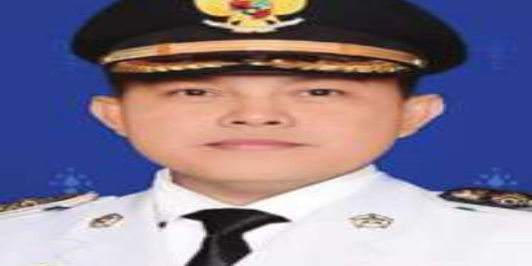 FOTO: MATAKALTENG - Pj Bupati Barsel, Deddy Winarwan.