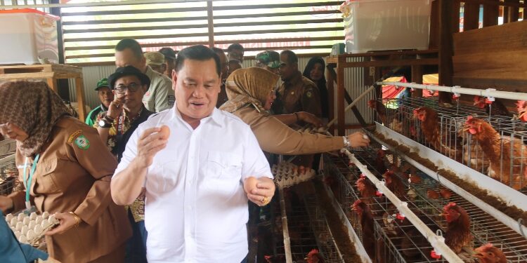FOTO : IST/MATAKALTENG - Bupati Kotim Halikinnor saat meninjau peternakan Kelompok Tani Jemaras Sejahtera, Selasa 31 Oktober 2023.