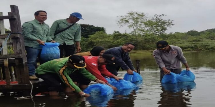 FOTO : UNTUNG J BANGAS/MATA KALTENG - Anggota DPRD Kabupaten Gumas Untung J Bangas (dua dari kanan) bersama pihak terkait lain, saat menebar puluhan ribu benih ikan papuyu di DAM Sekata Tewah, Kelurahan Tewah, Kecamatan Tewah, belum lama ini.