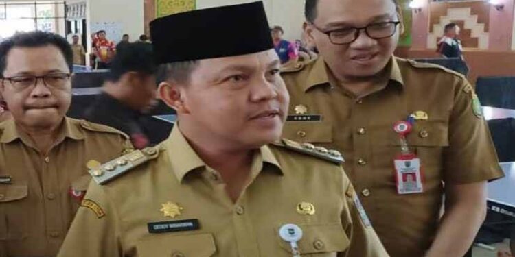 FOTO: MATAKALTENG - Pj Bupati Barsel, Deddy Winarwan.
