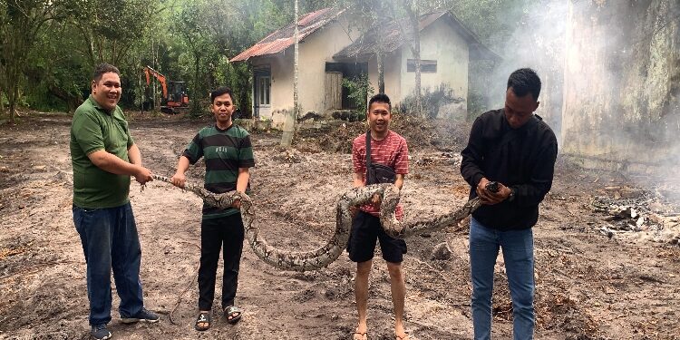 FOTO: RZL/MATAKALTENG - Tim ERP pada saat berhasil mengevakuasi ular piton.