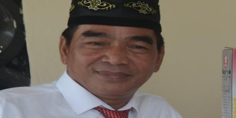 FOTO: MATAKALTENG - Anggota Komisi I DPRD Kabupaten Barsel, Tamarzam.