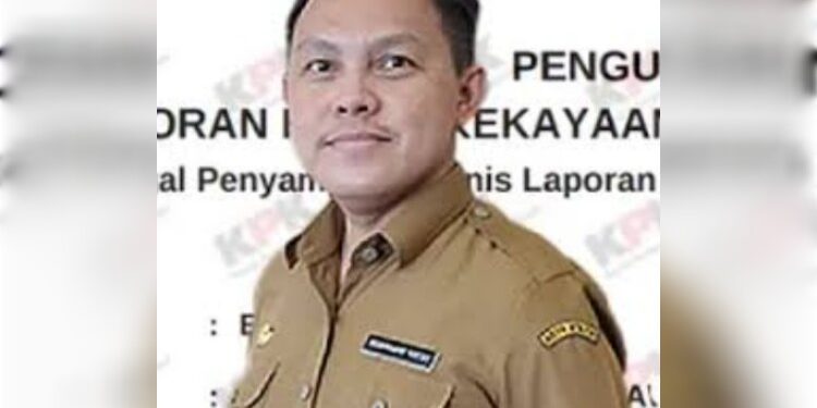 FOTO: MATAKALTENG - Pj Bupati Barsel, Deddy Winarwan.
