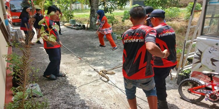 FOTO: MATAKALTENG - Tim penyelamatan DPKP Palangka Raya saat mengevakuasi ular kobra di Jalan Danau Ilung.