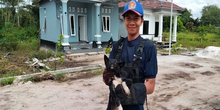 FOTO: MATAKALTENG - Tim penyelamatan DPKP saat mengevakuasi anak anjing di Jalan Badak II Gang Indah Asri.