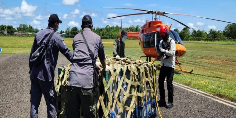 FOTO: IST/MATAKALTENG - Petugas BKSDA Kalteng saat hendak menerbangkan delapan orangutan, untuk dilepasliarkan di Hutan Lindung Bukit Batikap.