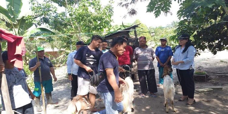 FOTO : CICI SUSILAWATI/MATA KALTENG - Anggota DPRD Kabupaten Gumas Cici Susilawati menyalurkan bantuan bibit kambing kepada Poktan Cipta Karya Taringen Sejahtera, di Desa Taringen, Kecamatan Manuhing, belum lama ini.