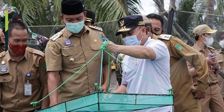 FOTO: IST/MATAKALTENG - Gubernur Sugianto Sabran saat meninjau langsung lokasi Tambak Udang Vaname.