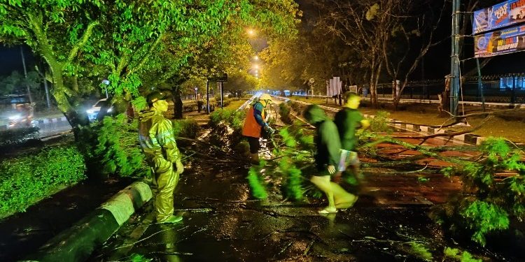 FOTO: IST/MATAKALTENG - Petugas BPBD saat memangkas pohon tumbang yang mengenai badan jalan.