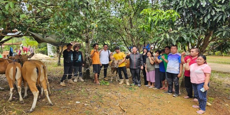 FOTO: MATAKALTENG - Ketua DPRD Mura, Doni, saat menyerahkan bantuan bibit sapi.