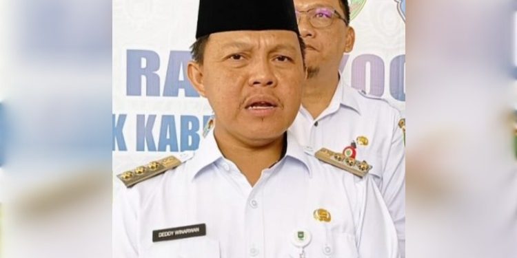 FOTO: MATAKALTENG - Pj Bupati Barsel, Deddy Winarwan.