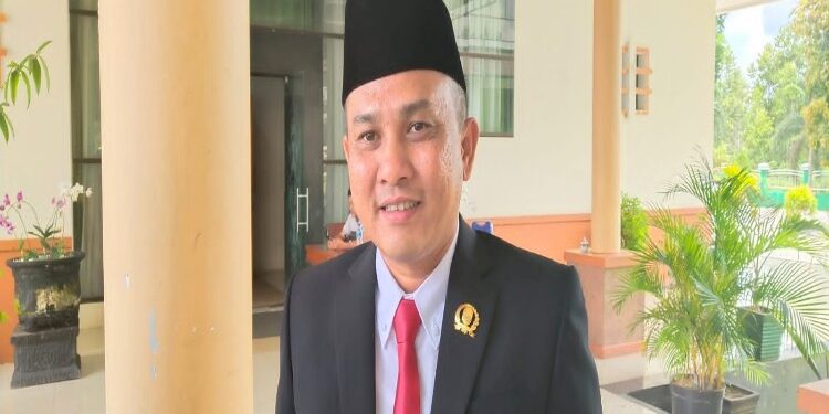 FOTO: ANR/MATAKALTENG - Anggota DPRD Kabupaten Katingan, Muhammad Efendi.