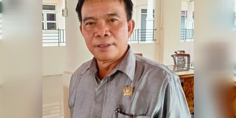 FOTO: MATAKALTENG - Ketua Komisi III DPRD Barsel, Hermanes.