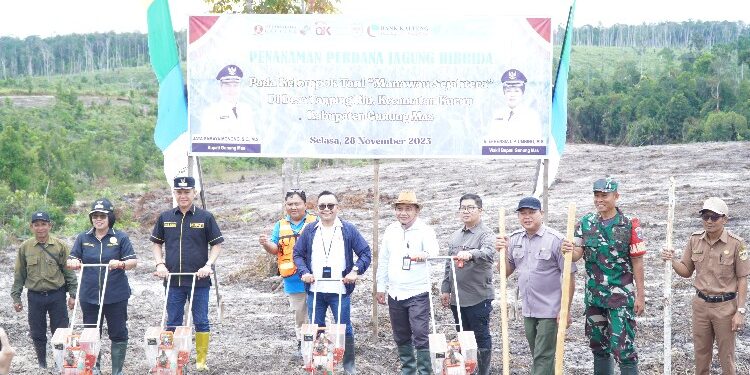 FOTO: MATAKALTENG - Peluncuran Klaster Sektor Pertanian dan Perkebunan Jagung oleh berbagai pihak antara lain Pemerintah Provinsi, OJK Provinsi Kalimantan Tengah dan sektor terkait.