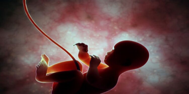 FOTO: MATAKALTENG - Ilustrasi.