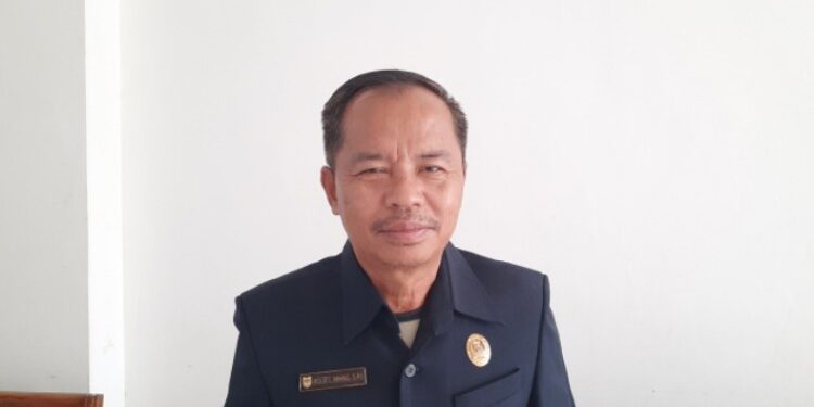 FOTO: MATAKALTENG - Anggota DPRD Kabupaten Gumas, Polie L Mihing.