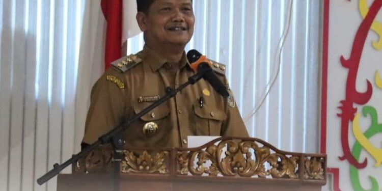 Pj Bupati Seruyan, Djainuddin Noor.