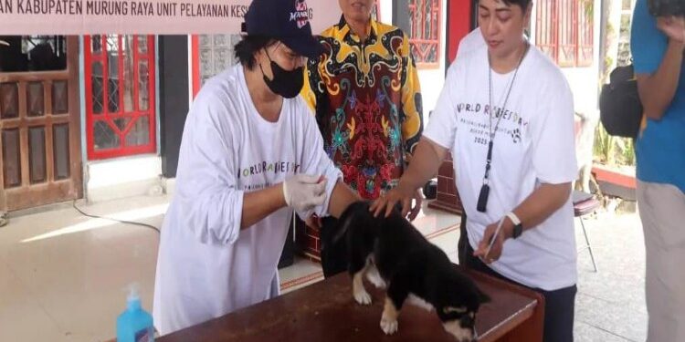 FOTO: MATAKALTENG - Sekretaris Dinas Pertanian dan Perikanan Kabupaten Murung Raya, Humerus Elmar.