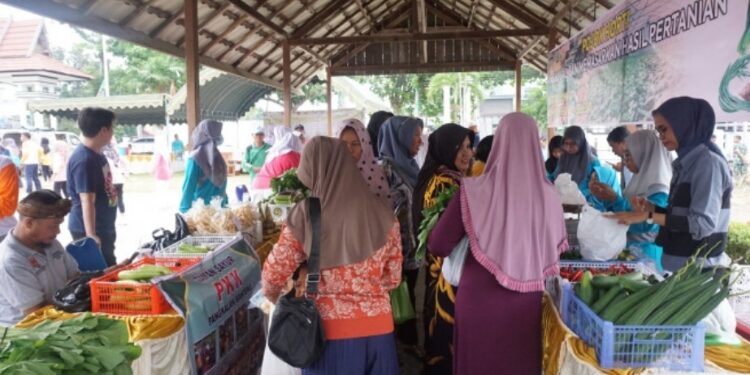 FOTO: LIH/MATAKALTENG
- Peluncuran pojok horti di serbu pengunjung yang ingin berbelanja kebutuhan sayur mayur.