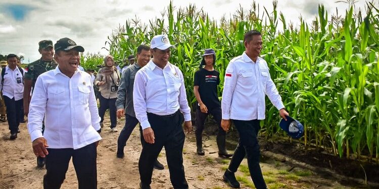FOTO: MATAKALTENG - Menteri Pertanian (Mentan) Andi Amran Sulaiman bersama Wakil Menteri Pertahanan RI, Muhammad Herindra meninjau kegiatan food estate tanaman jagung di Kabupaten Gunung Mas.