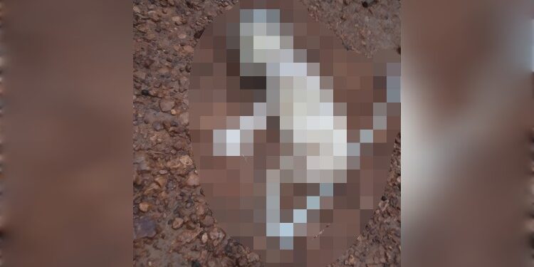 FOTO: IST/MATA KALTENG- mayat bayi yang masih dengan keadaan tali pusar dan kakinya dipotong.