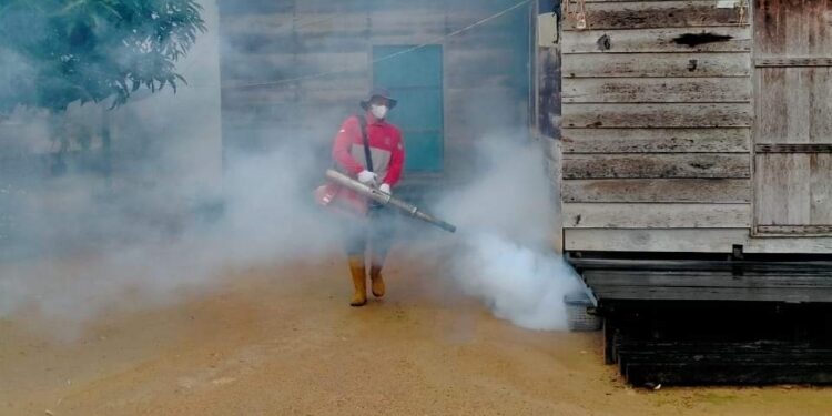 FOTO: IST/MATA KALTENG - Petugas saat sedang melakukan fogging di wilayah Kuala Pembuang dan sekitarnya.