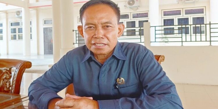 FOTO: MATAKALTENG - Anggota DPRD Barsel, Sudiarto.