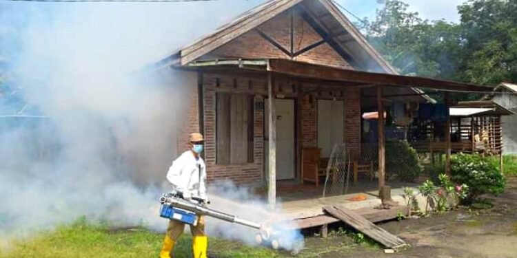 FOTO : IST - Upaya Fogging yang dilakukan Dinas Kesehatan Pulang Pisau melalui Puskesmas Maliku untuk memberantas nyamuk DBD.