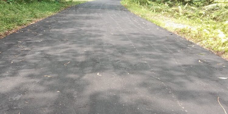 FOTO : WALTER S SINDI/MATA KALTENG - Jalan aspal shand sheet yang dikerjakan secara swakelola oleh Pemerintah Desa Tanjung Riu, belum lama ini.