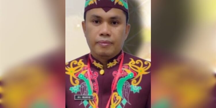 FOTO: MATAKALTENG - Kepala DPPKBP3A Barsel, Mario.