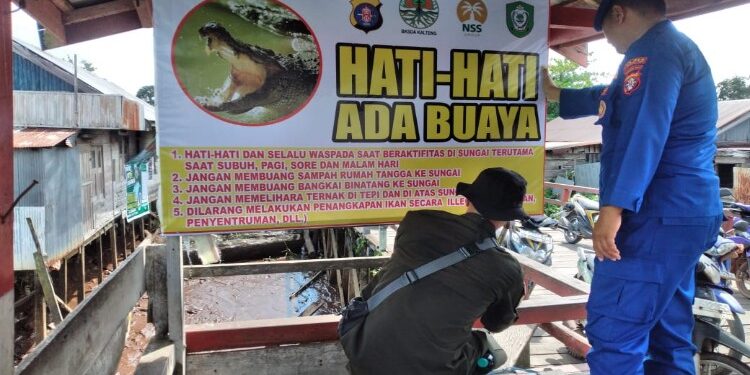 FOTO: IST/MATA KALTENG- Himbauan BKSDA Pos Sampit untuk masyarakat terhadap kemunculan buaya.