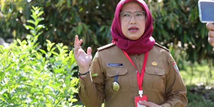 FOTO: MATAKALTENG - Kepala Dinas Tanaman Pangan, Holtikultura, dan Peternakan (TPHP) Kalteng, Sunarti.