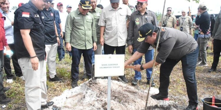 FOTO: MATAKALTENG - Wamen LHK RI Alue Dohong, Wagub Kalteng Edy Pratowo, dan Sekda Provinsi Kalteng Nuryakin melakukan penanaman pohon bersama serentak seluruh Indonesia di Rehabilitasi Hutan dan Lahan Pemeliharaan Tahun Pertama (P1) di Desa Tuwung.