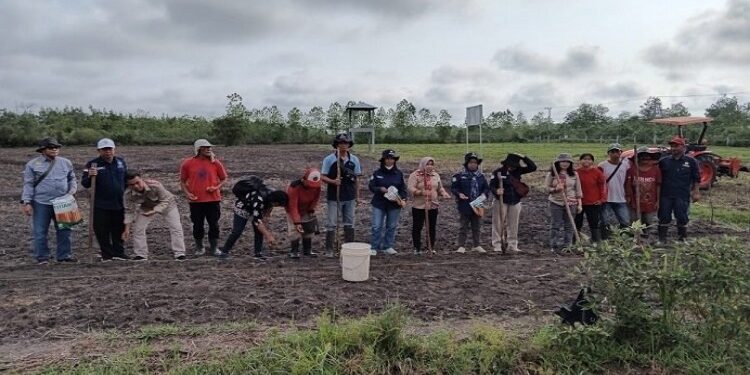 FOTO: MATAKALTENG - DKPPP Barsel saat melaksanakan penanaman Holtikultura pada demplot Desa Sababilah Barsel.