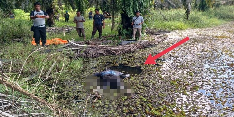 FOTO: IST/MATAKALTENG -
Polsek Arut Utara bersama pihak perusahaan saat evakuasi mayat dari rawa di area perusahaan besar swasta PT GSYM, di Kecamatan Arut Utara, Rabu 3 Januari 2024.