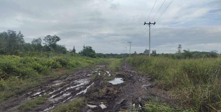 FOTO : IST/MATAKALTENG - Kondisi jalan masuk ke Desa Soren, Kecamatan Kota Besi tergolong rusak parah.
