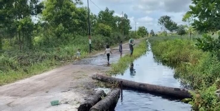 FOTO : DIAN/MATA KALTENG - Jalan yang baru dibuka di Kecamatan Baamang.