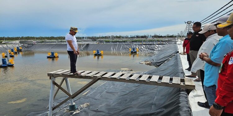 FOTO: MATAKALTENG - Gubernur Kalteng, H Sugianto Sabran mengecek Progres Pembangunan Tambak Udang/Shrimp Estate Kalteng Berkah di Kabupaten Sukamara.