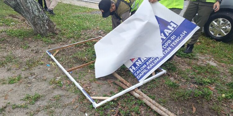 FOTO: RZL/MATAKALTENG - Tim gabungan saat menertibkan Alat Peraga Kampanye (APK) yang melanggar aturan di Jalan Adonis Samad.