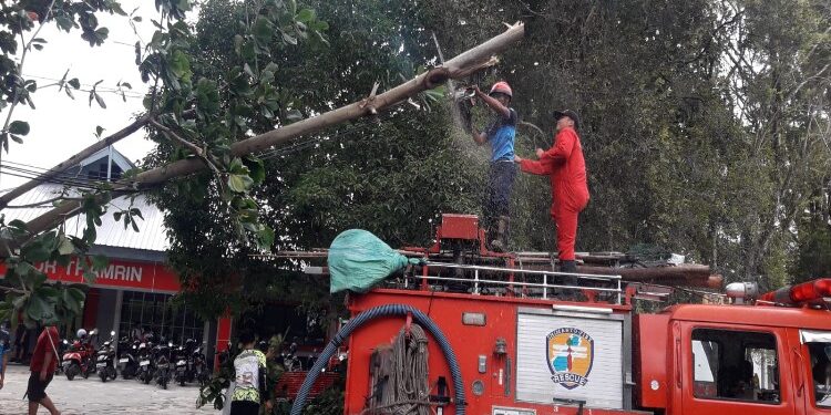 FOTO: RZL/MATAKALTENG - Petugas Call Center 112 Palangka Raya, pada saat memotong pohon yang tumbang menutupi jalan.