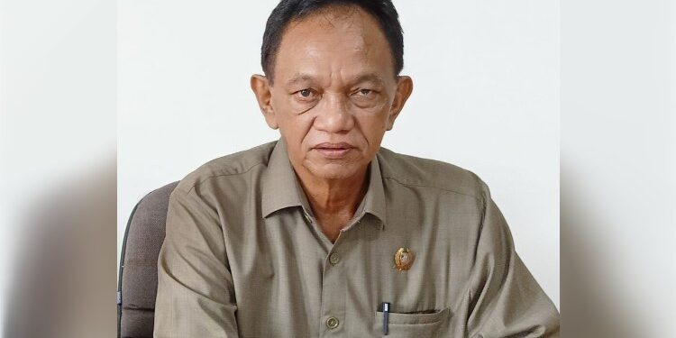 FOTO: MATAKALTENG - Anggota DPRD Barsel, H Raden Sudarto.